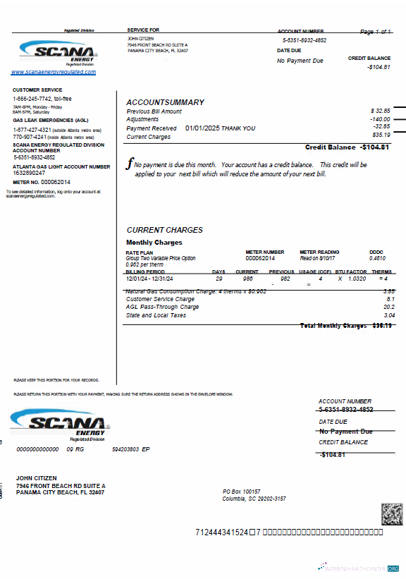 download download USA SCANA Energy utility bill template in Word and PDF formats PDF template PDF template